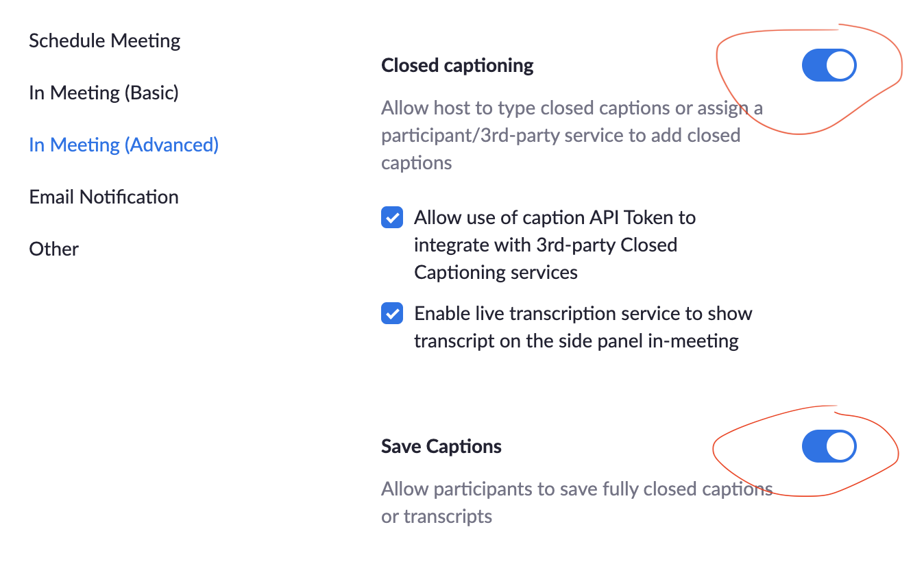 screenshot of zoom settings